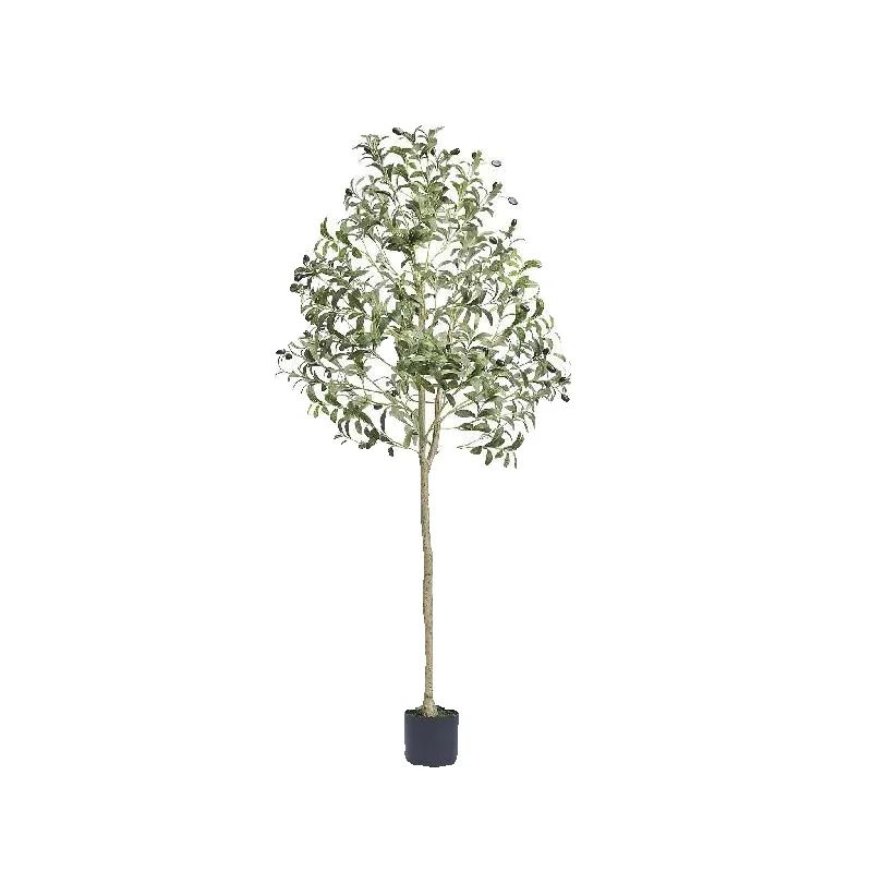 Dracaena Marginata - SucceBuy Искусственное оливковое дерево высотой 4/5/6