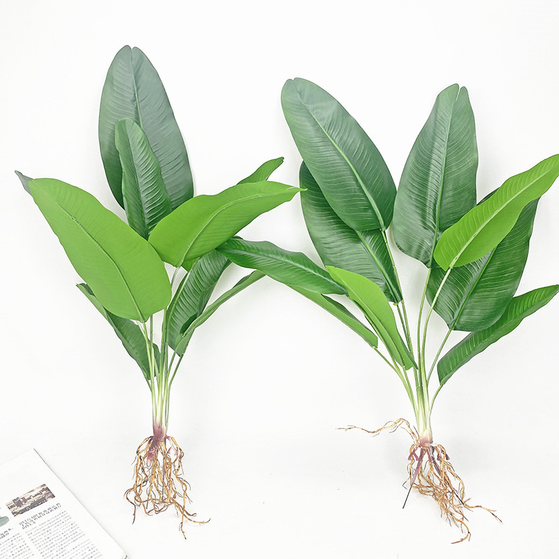 Искусственное дерево-банан, зе – обзор и цена Dracaena Marginata
