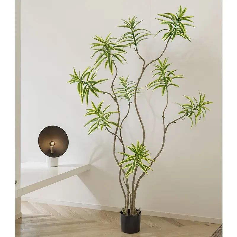 Высокореалистичное искусственн – обзор и цена Dracaena Marginata