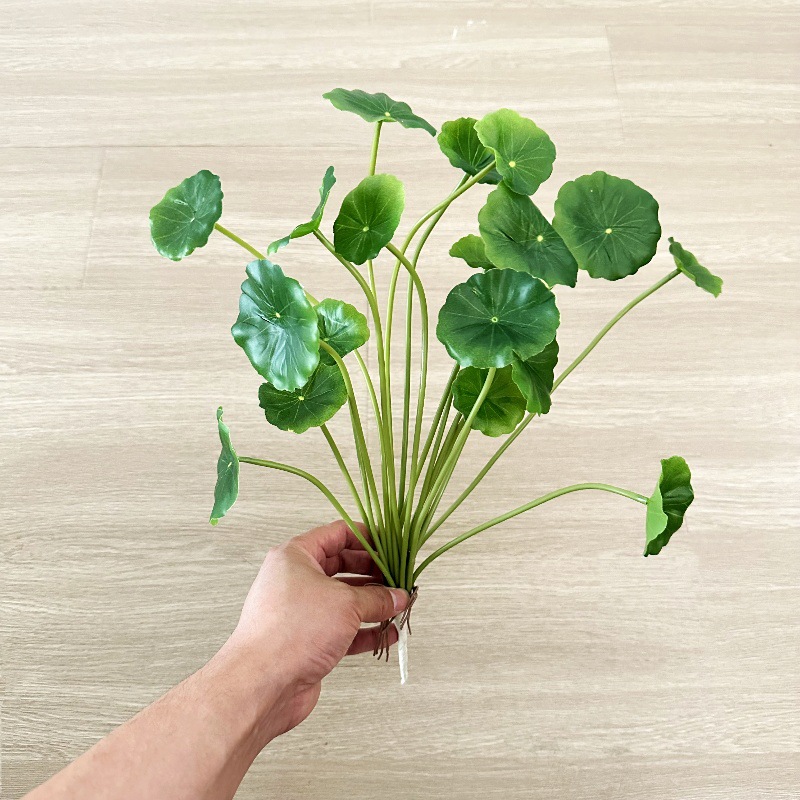 2 шт. Искусственные листья пил – обзор и цена Pilea Peperomioides
