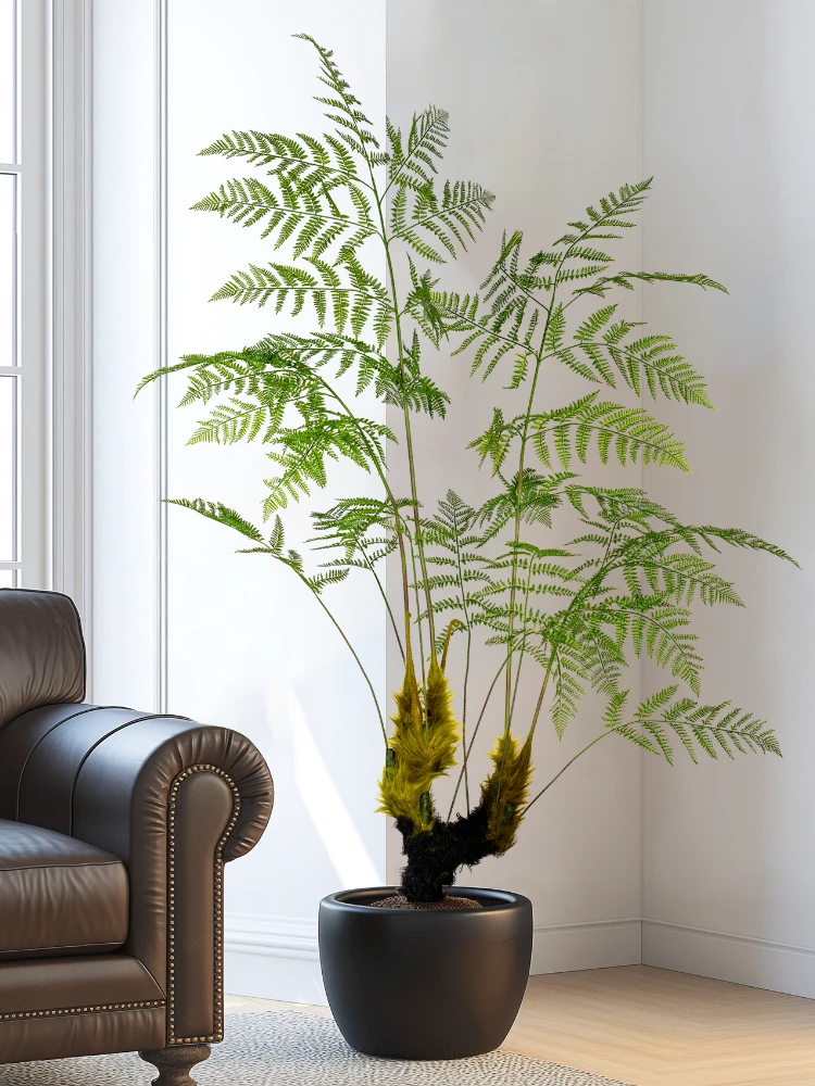 Большая имитация золотой обезь – обзор и цена Dracaena Marginata
